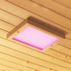 Bild von Premium Farblichtanwendung LED Grösse 2